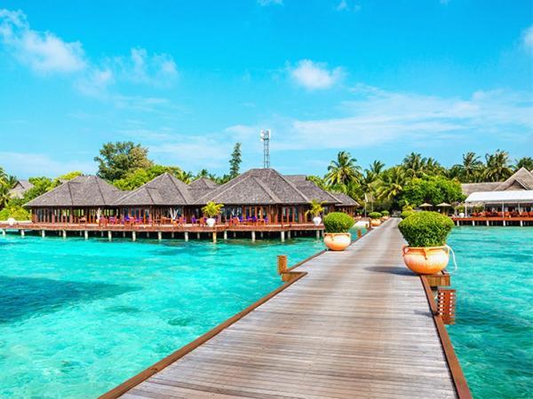 برای تعطیلات سفر به مالدیو جذاب تر است یا بالی؟