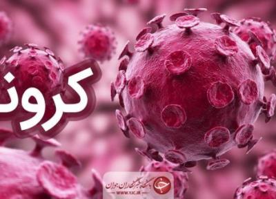 روز بدون فوتی کرونایی در هرمزگان